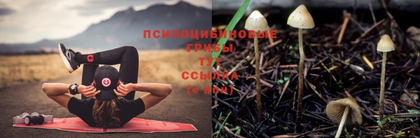 спайс Бронницы
