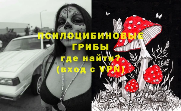 не бодяженный Бородино