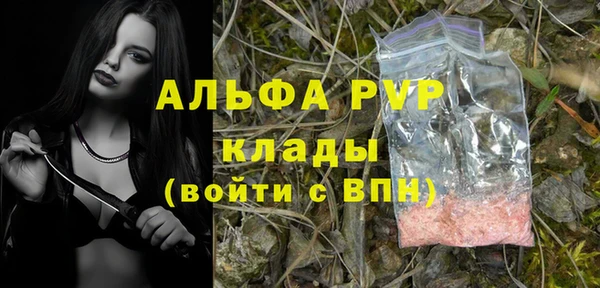 не бодяженный Бородино