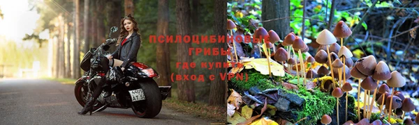 не бодяженный Бородино