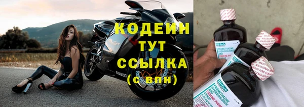 не бодяженный Бородино